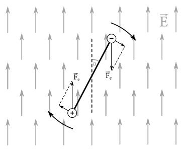 Figure 1: Tyčka vychýlená o uhol \alpha